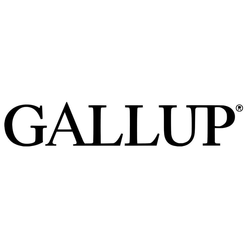 gallup small sq